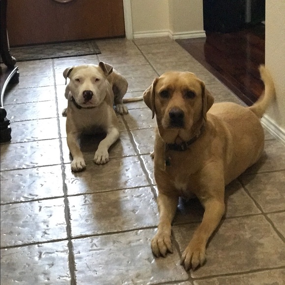 Meet your Posher, Yubelka - Picture 5 of 7